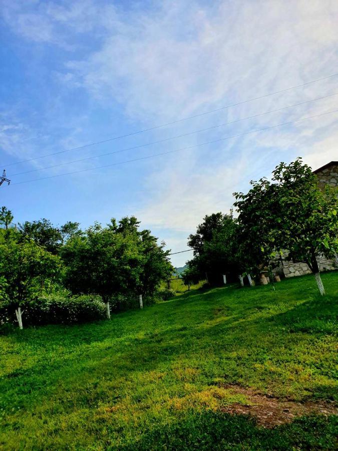 Guest House Ijevan'S Garden Exteriör bild