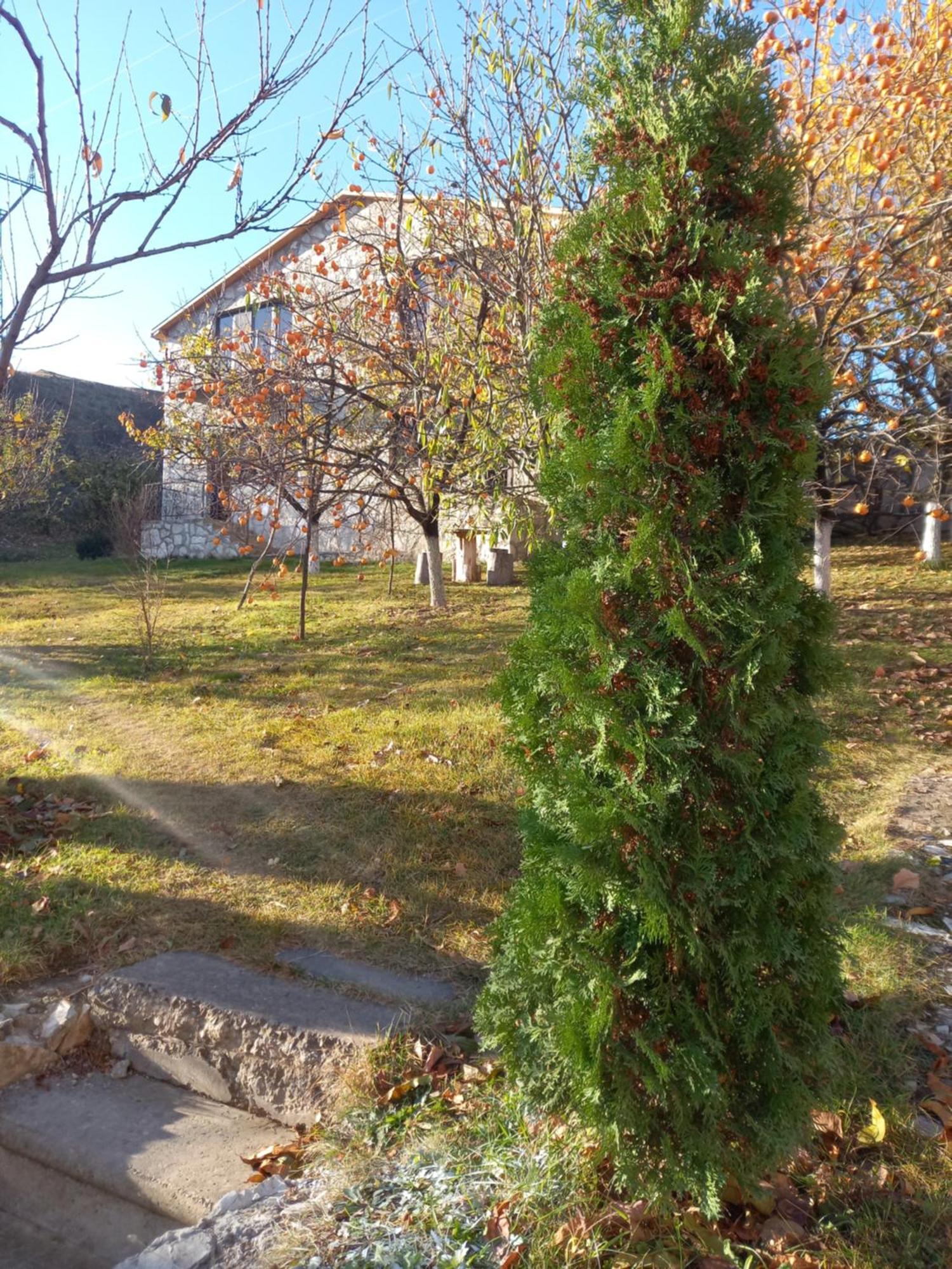 Guest House Ijevan'S Garden Exteriör bild