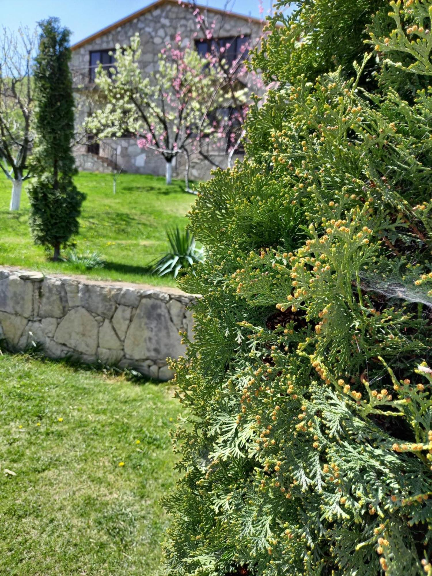 Guest House Ijevan'S Garden Exteriör bild
