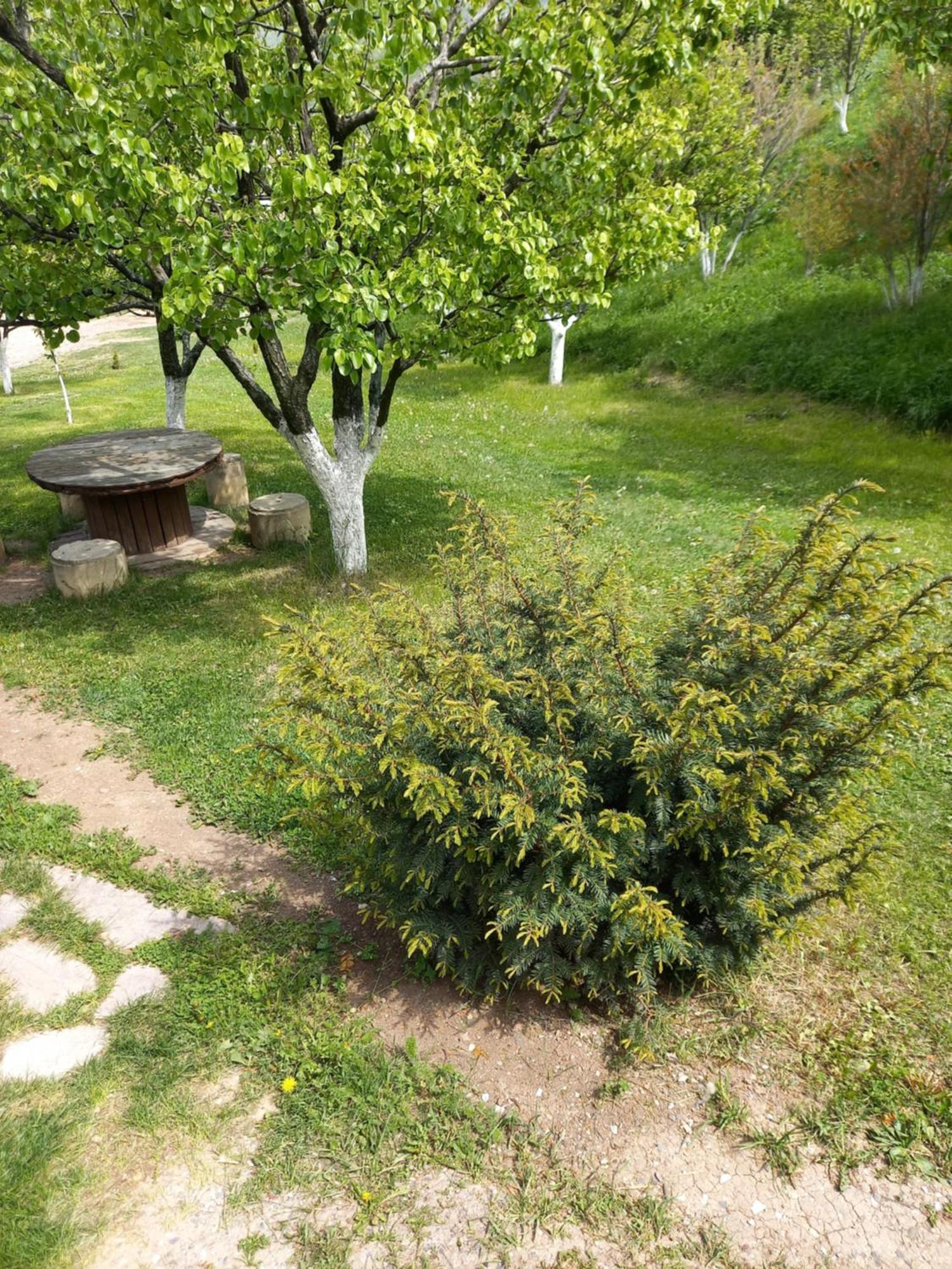 Guest House Ijevan'S Garden Exteriör bild