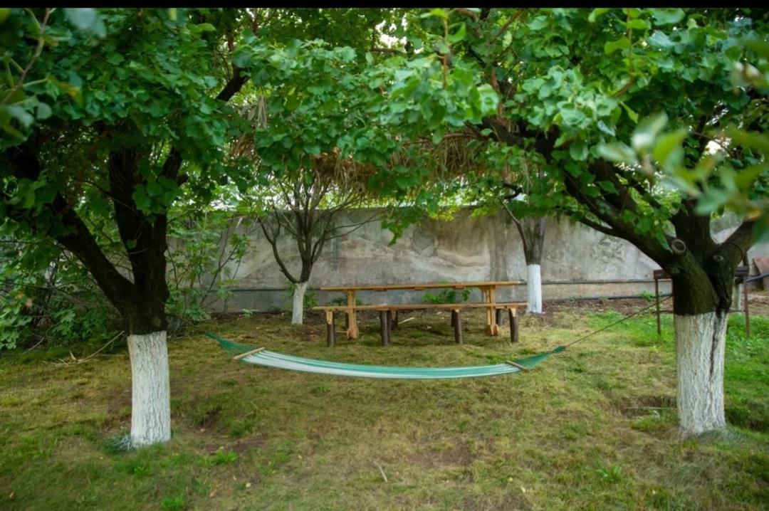 Guest House Ijevan'S Garden Exteriör bild